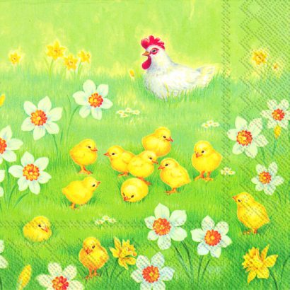 CHICKS GARDEN – Lunch Napkins