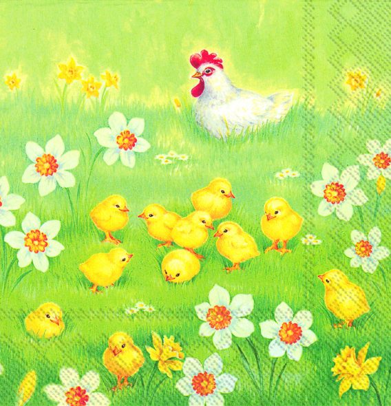 CHICKS GARDEN - Lunch napkins