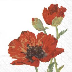 Red Poppy White – Cocktail Napkins