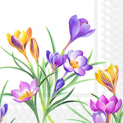 WOODLAND CROCUS – Cocktail Napkins