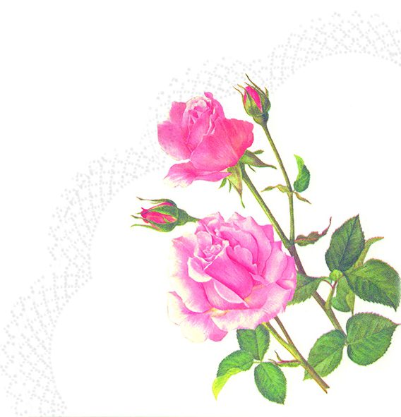 A rose for you - Rondo napkins