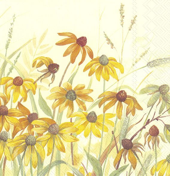 CONEFLOWER cream - Lunch napkins