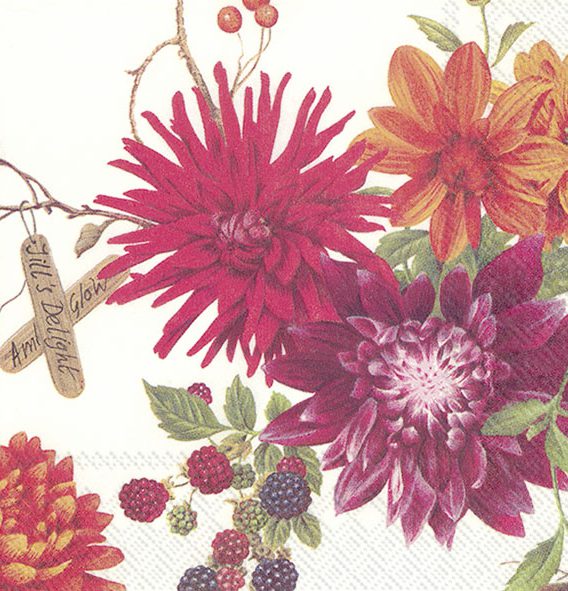 DAHLIA GARDEN cream - Cocktail napkins