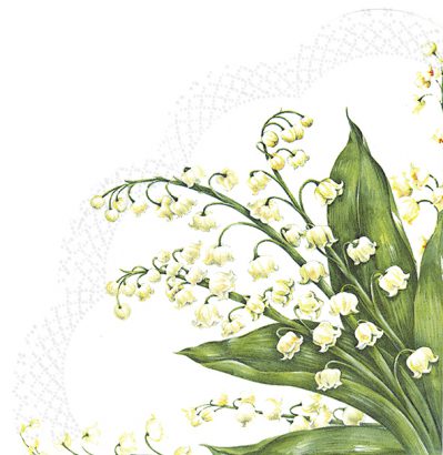 Festive May White – Rondo Napkins