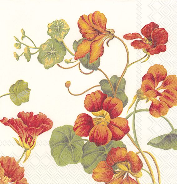 NASTURTIUM cream - Cocktail napkins