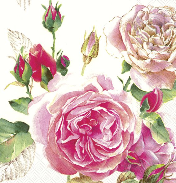 TEA ROSE white - Lunch napkins