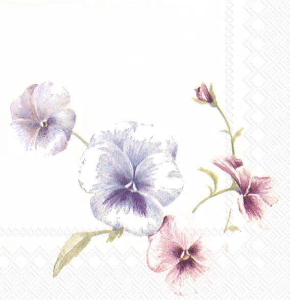 VIOLA IN VOGUE cream - Cocktail napkins