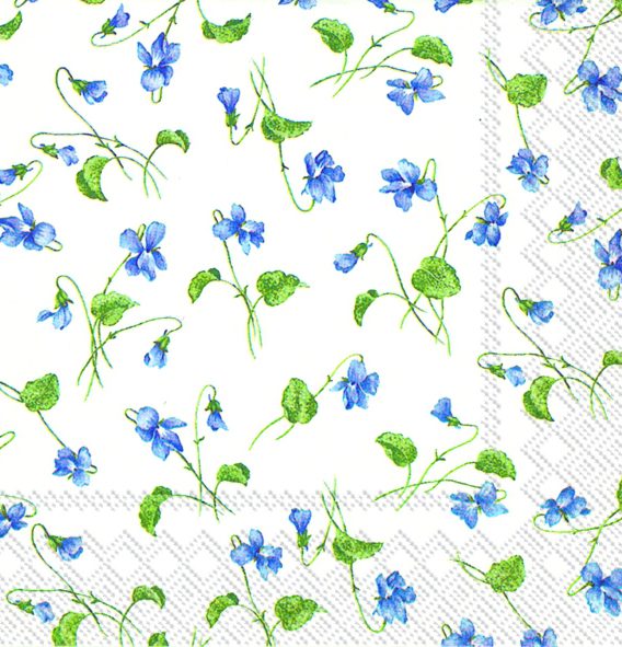 Viola riviniana white - Cocktail napkins