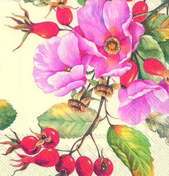 WILD ROSE - Lunch napkins