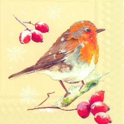 WINTER ROBIN Cream – Cocktail Napkins