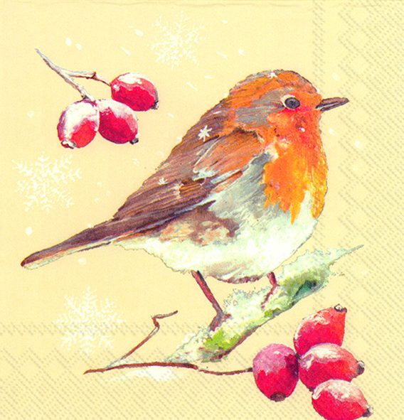 WINTER ROBIN cream - Cocktail napkins