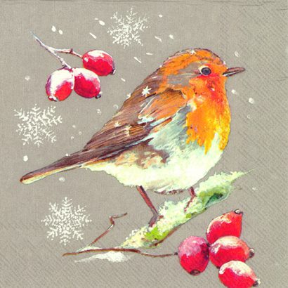 WINTER ROBIN Linen – Cocktail Napkins