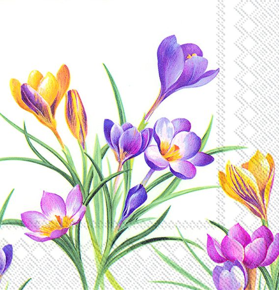 WOODLAND CROCUS - Lunch napkins