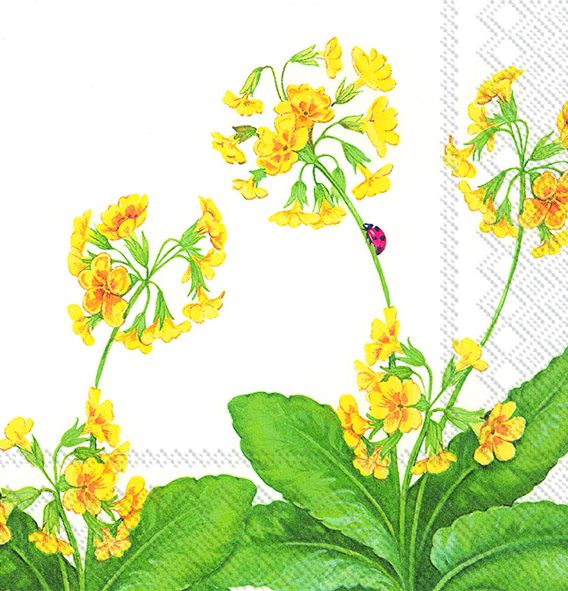 PRIMULA VERIS - Lunch napkins